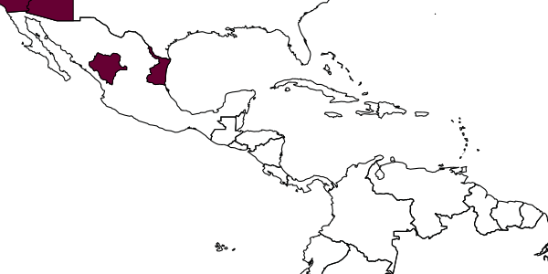 map of Clistopyga nigrifrons     Cushman, 1921